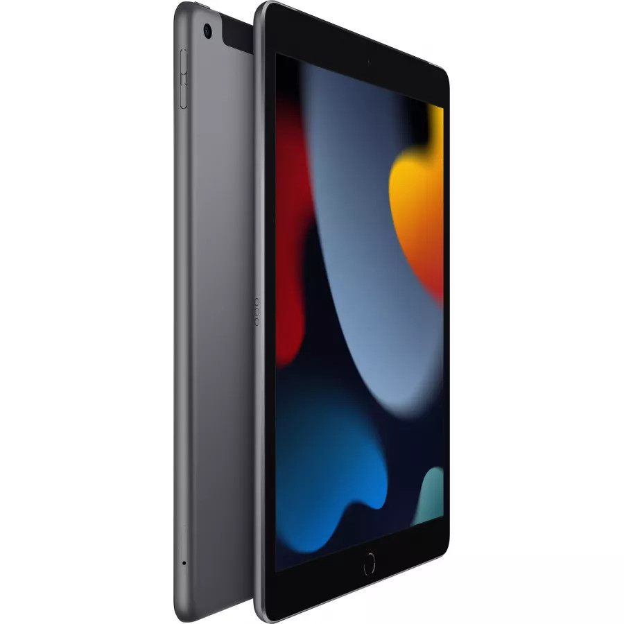 Купить Apple iPad 9 10.2" 2021 256ГБ Wi-Fi + Cellular "Серый космос" в Сочи. Вид 2