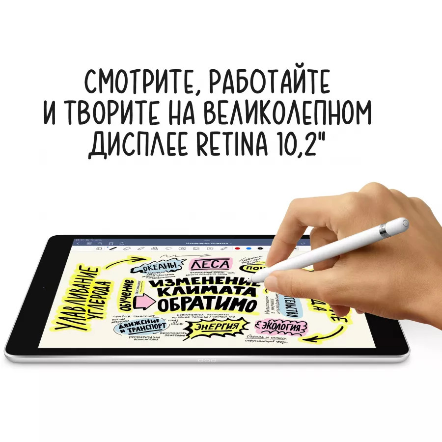 Купить Apple iPad 9 10.2" 2021 64ГБ Wi-Fi Серебристый в Сочи. Вид 4