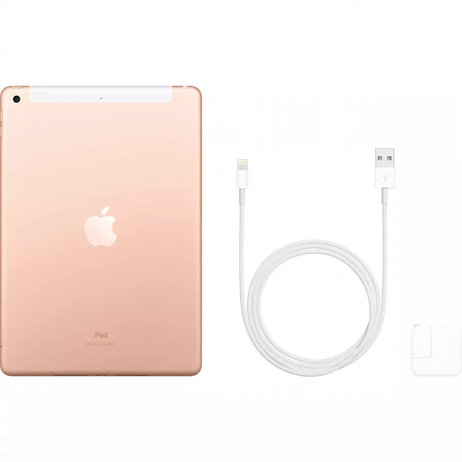 Купить Apple iPad 10.2 (2019) 128ГБ Wi-Fi + Cellular - Золотой (Gold) в Сочи. Вид 4