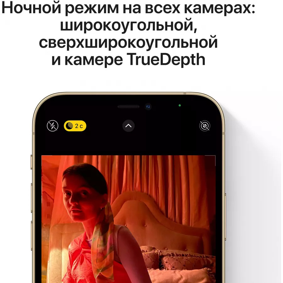 Купить Apple iPhone 12 Pro Max 512ГБ Серебристый в Сочи. Вид 5