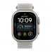 Купить Apple Watch Ultra 4 (2026), 49мм, корпус из титана натурального цвета, ремешок Ocean Translucent Gray в Сочи. Вид 2