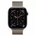 Купить Apple Watch Series 11 46mm, титан цвета «Slate», стальной миланский сетчатый браслет цвета «Slate» в Сочи. Вид 2