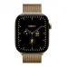 Купить Apple Watch Series 12 46mm, титан цвета «Radiant Gold», стальной миланский сетчатый браслет цвета «Radiant Gold» в Сочи. Вид 2